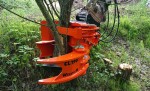Woodcracker CL