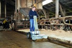 Westermann CMA 800 Elektro